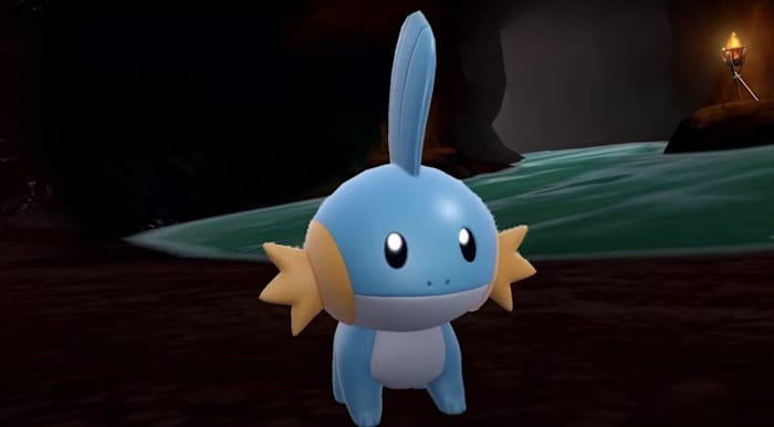 mudkip
